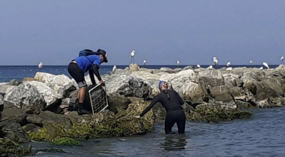 Toma de muestra de aguas en playas de Santa Marta