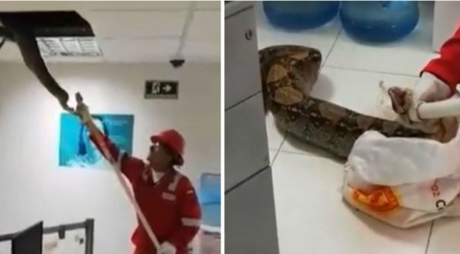 Cortesía. Captura de video