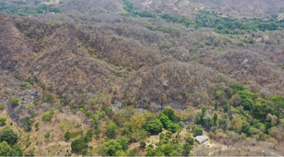 Incendio en Tigrera.