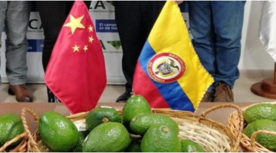 El sector agropecuario además de asegurar la alimentación de los colombianos en el marco de la emergencia, mantiene una dinámica positiva en el comercio internacional y la estrategia de diplomacia sanitaria sigue dando sus frutos.