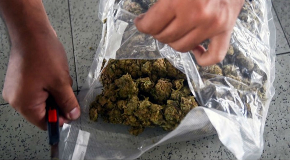 Marihuana incautada. Cortesía.