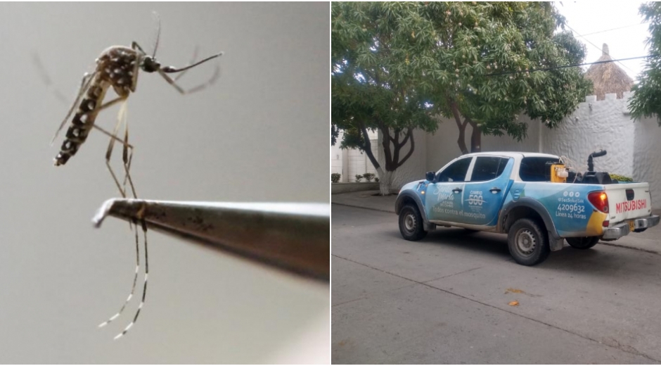  Santa Marta, en la semana epidemiológica 31 del año 2019 reportó 555 casos, frente a 196 del año 2020