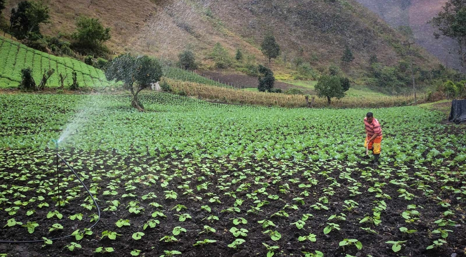 Este encuentro virtual del agro habilitó desde el 18 de agosto una Vitrina Virtual donde los participantes buscarán consolidar acuerdos comerciales