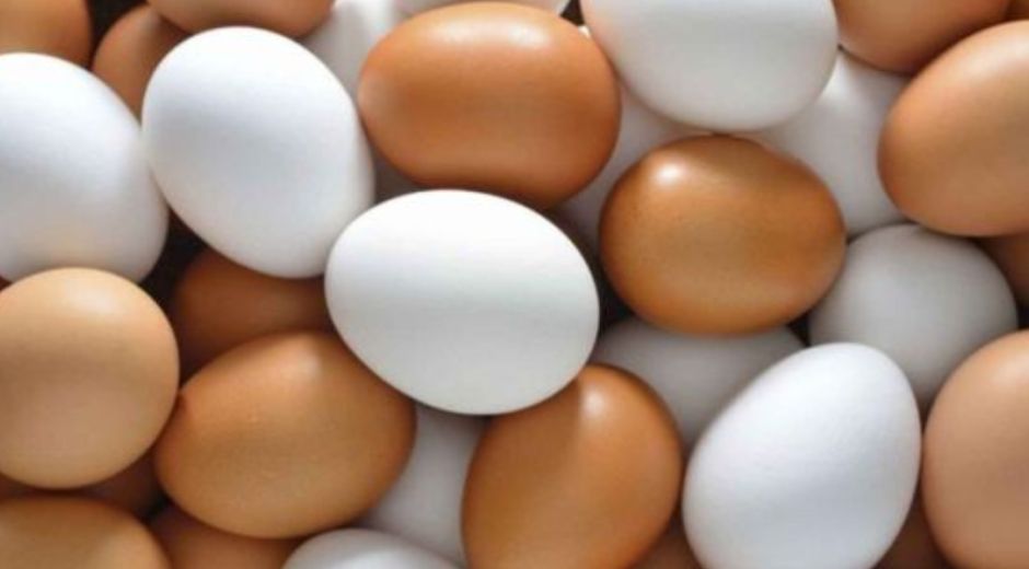 Fenavi y la FCC resaltan que el consumo del huevo debe realizarse dentro de una dieta balanceada.