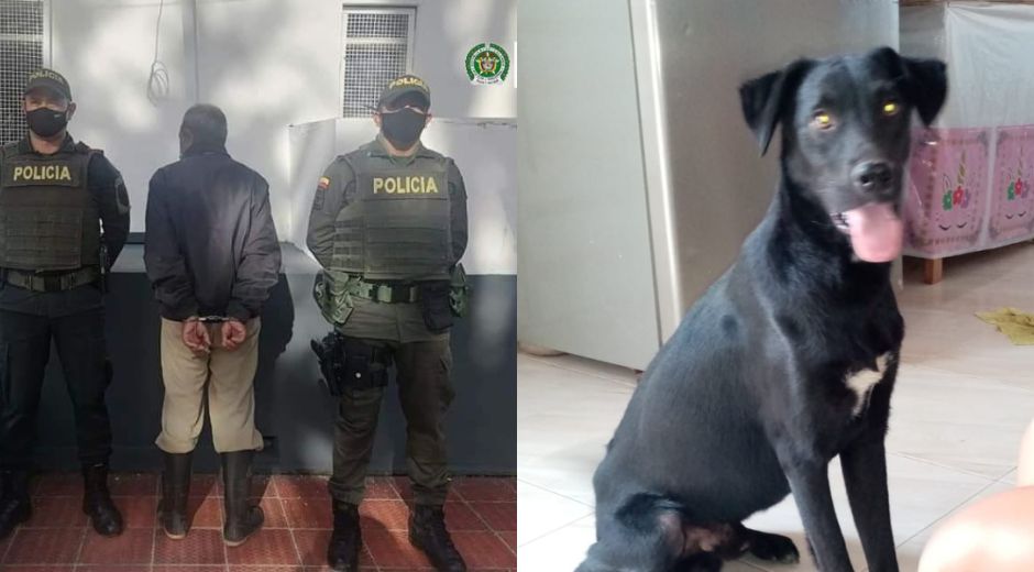Luis Antonio Cáceres, habría agredido gravemente a su perro de nombre Negrete, hasta ocasionarle la muerte.