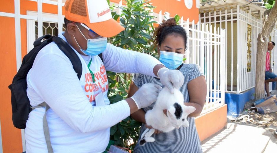 El programa focalizó animales de familias de bajos recursos, y en condición de calle.