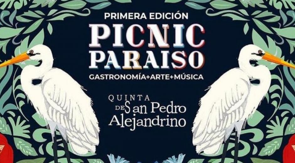 Primera edición de Picnic Paraíso