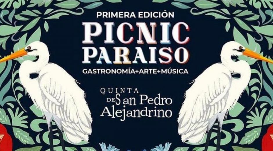 Cortersía Primera edición de Picnic Paraíso
