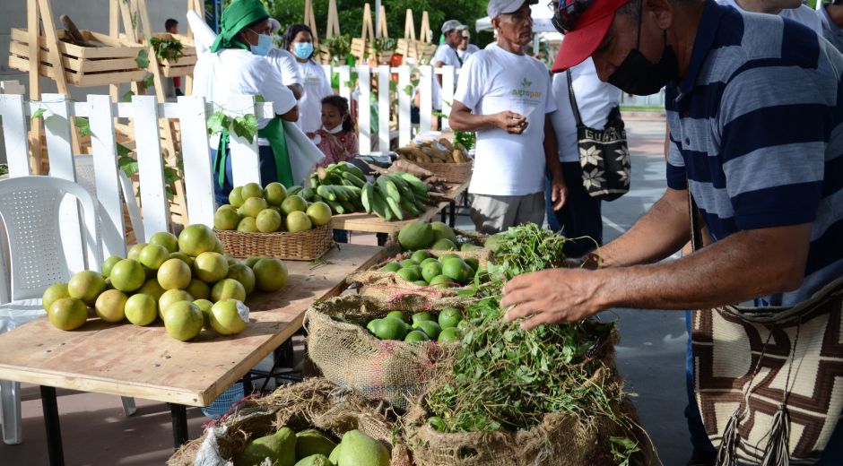 Proyecto E-Commerce ha brindado herramientas y conocimientos a 33 asociaciones campesinas.