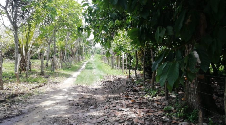 Parte del camino que deben recorrer los estudiantes para llegar a Aracataca. 