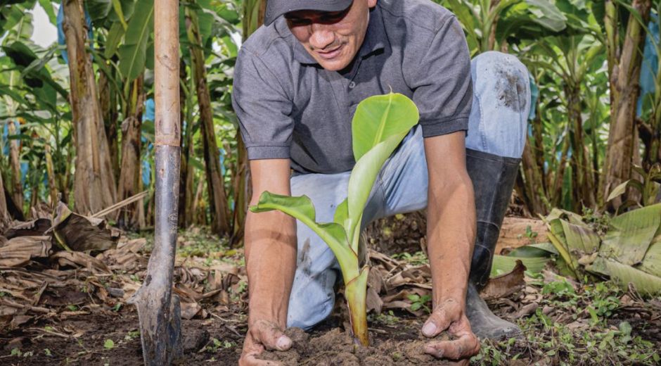 El proyecto conjunto busca además de mejorar la capacidad productiva.