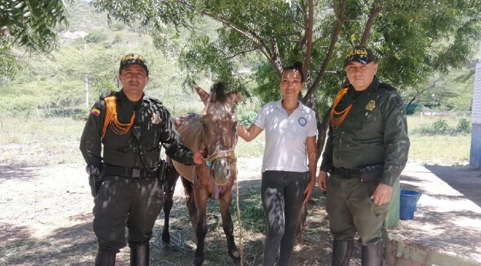 Valentín el caballo