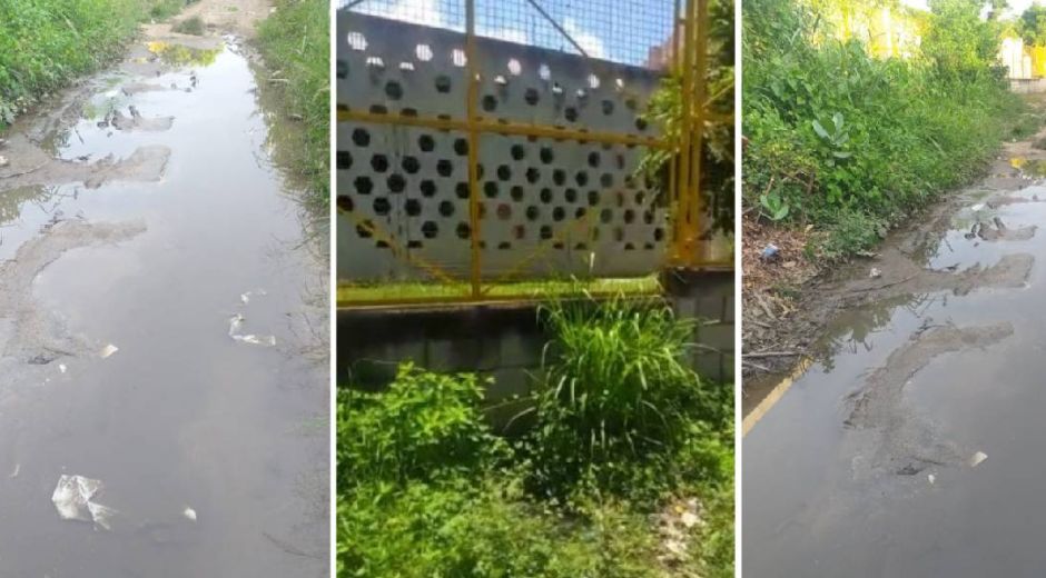 Santa Marta al Día Aguas negras en el sector