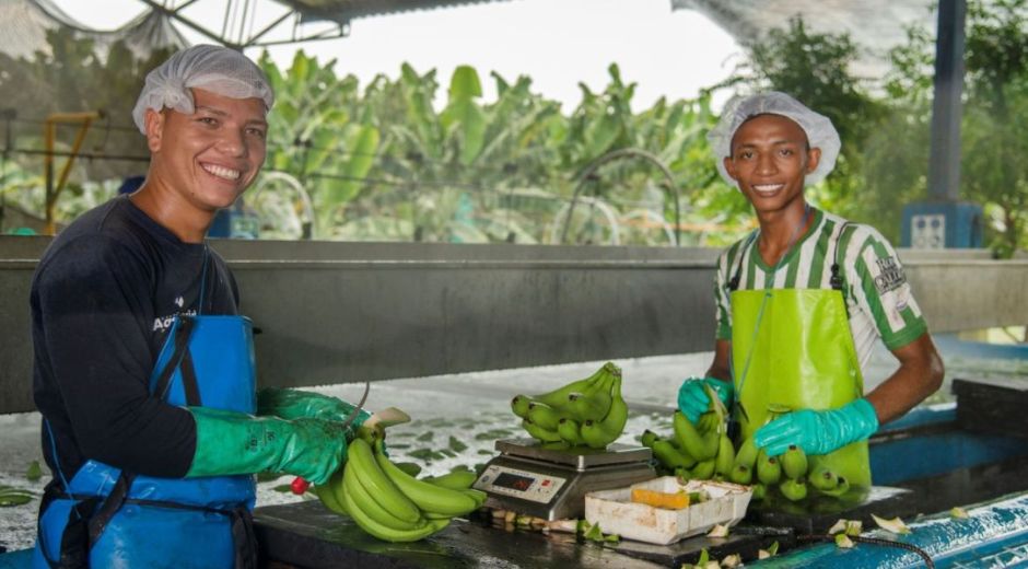 Productores de banano