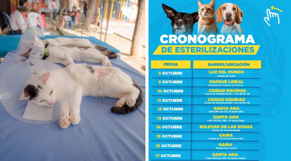 Cortesía Cronograma de esterilizaciones