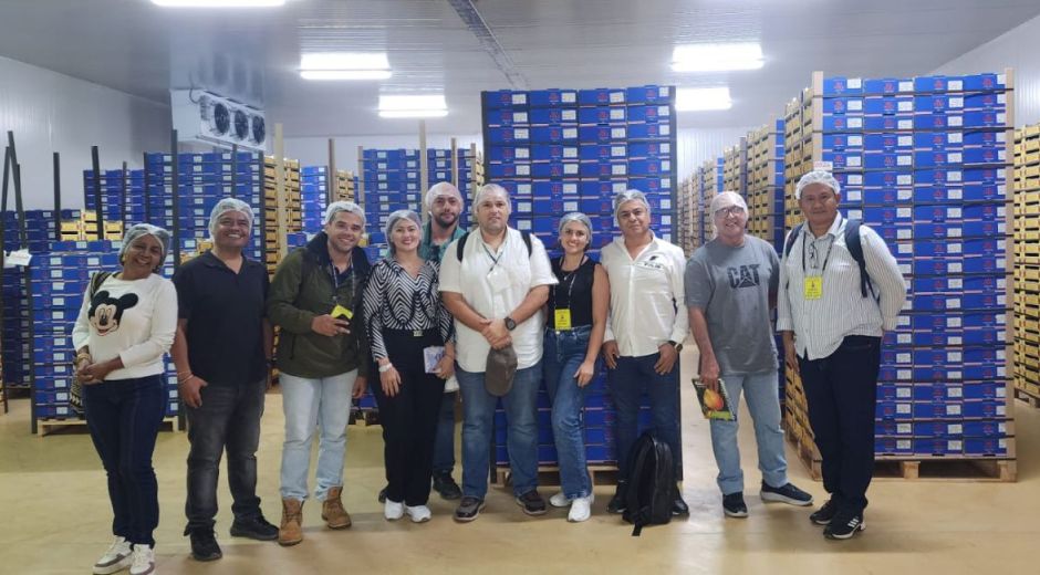 Empresarios del Clúster de Mango.