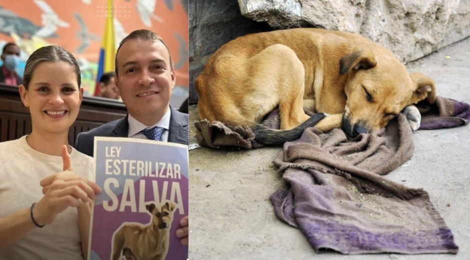 Cortesía Proyecto de esterilización nacional es una realidad