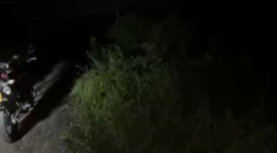 Seguimiento. Captura de pantalla.