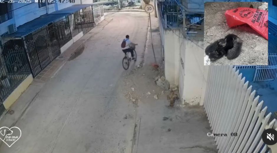 Cortesía Abandono de animales.