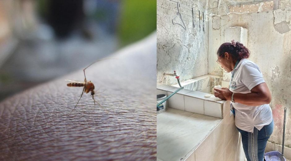 Cortesía Casos de dengue en Santa Marta