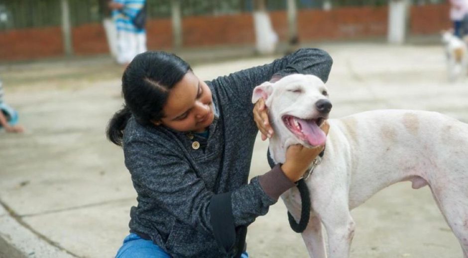 Cortesía Esterilizaciones masivas en Santa Marta
