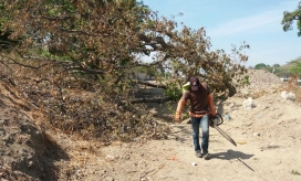 La entidad ambiental suspendió las labores de tala.
