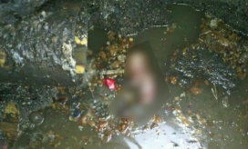 Cortesía El feto apareció en la alcantarilla en el barrio Galicia.