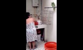 Loro discutiendo con su dueña. 