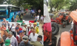 Zonacero.com AArroceros de Campoalegre, Huila, adelantan su jornada de paro nacional exigiendo soluciones al precio de compra de su producto.