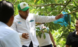 Imagen de referencia.